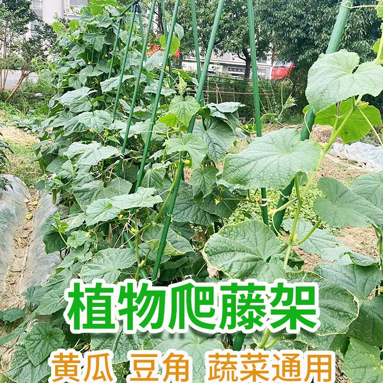 架藤架豆角支架黄瓜架子花杆爬藤月季花葡萄架植物户外花园庭院