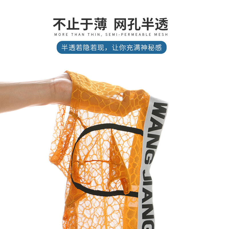 Men's Underwear Ice Silk Mesh Transparent Boxers Breathable Underwear Men's Sexy Lace Elephant Nose Inner Shorts Trendy