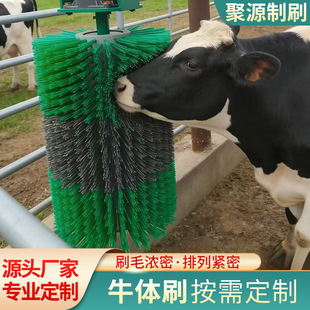 �S�����l늄�ţ�wˢ��ţ��Wֹ�W�坍ˢţ�w��Ħˢֱ�N�o���ǝLͲ