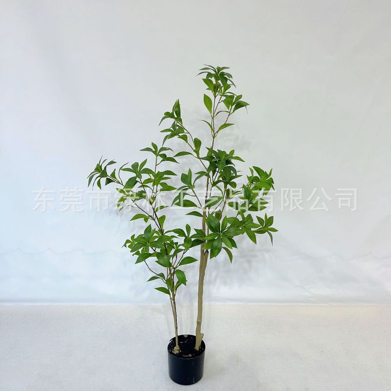 シミュレーション馬酔木着地鉢植え緑植物室内ショーウインドー造景装飾日本吊鐘ネット赤緑植|undefined