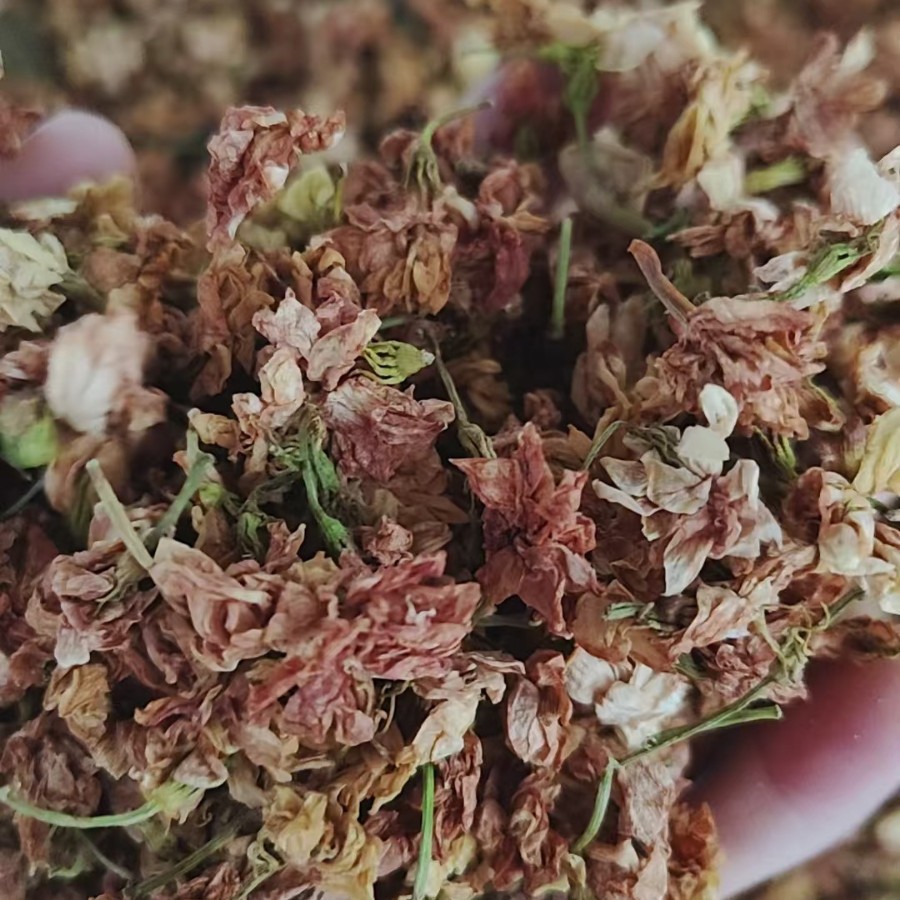 枕芯填充物-------烘干茉莉花植物干燥