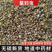 ��D�x��ș�� ��؛���x �����x �F���x ��ʭ�� ��ʭ�� ���x���x��