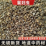 鼠妇虫中药材 新货潮虫 西瓜虫 团子虫 地虱婆 地虱子 潮虫昆虫大