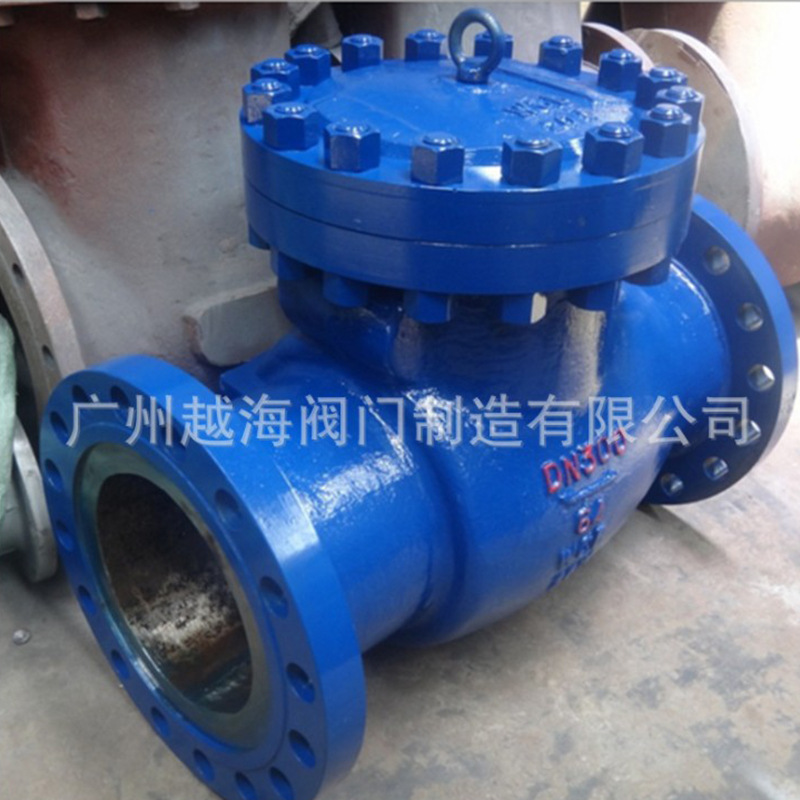 广州越海阀门100X铸铁快开止回阀 缓开快闭止回阀缓开缓闭止回阀