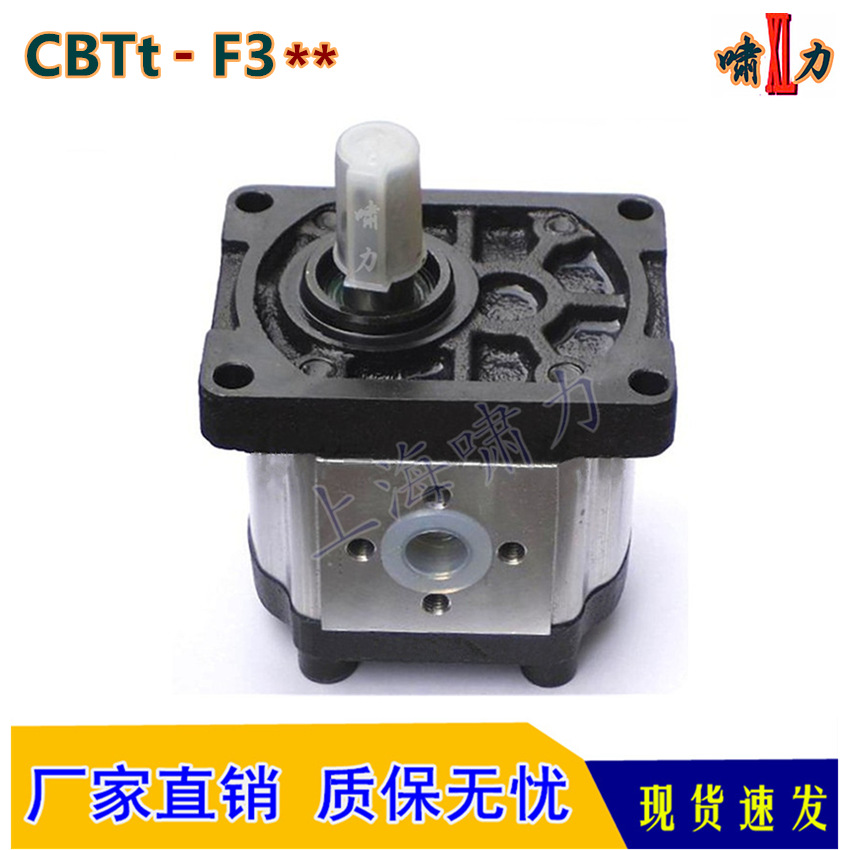 液压泵 CBTt-F310F3P7 压力高 运行稳定 CBTt-F310F3P7-JD齿轮泵