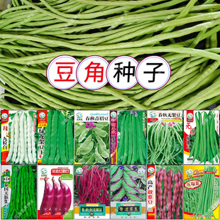 �L�������t�l̩���o�����߅�G�������׾Gü�o���ļ����m�㶹��