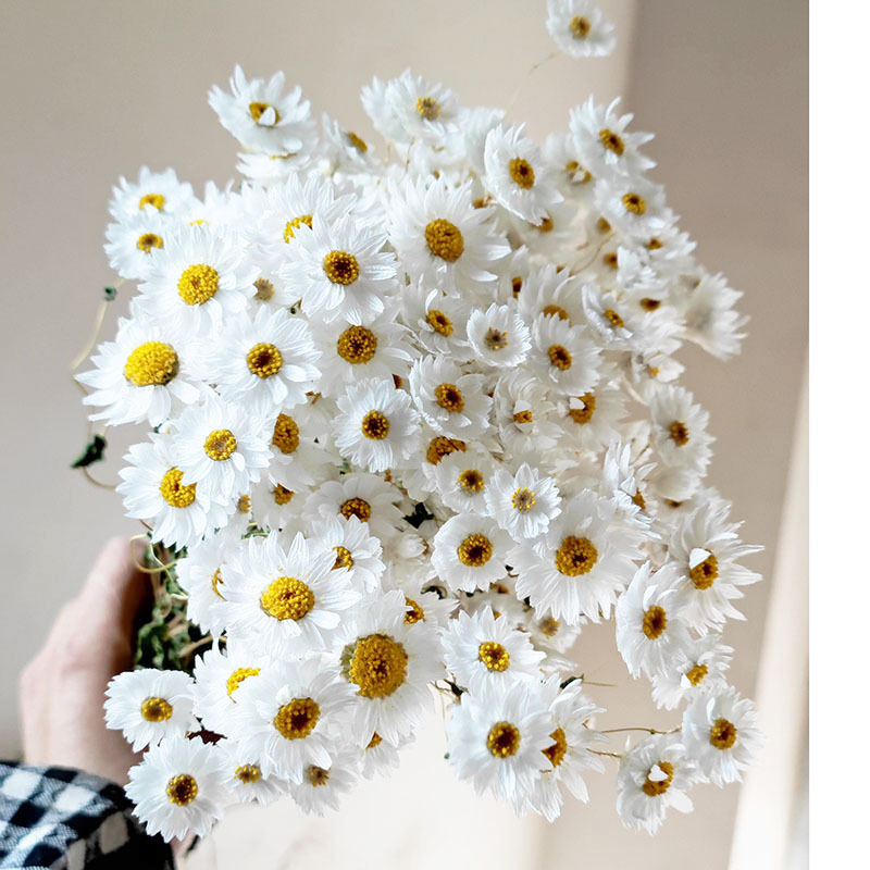 微信图片_20220412101558