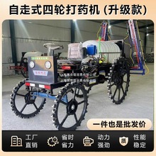 ݆șCrø߉FͲʽСr򌇊ș܇