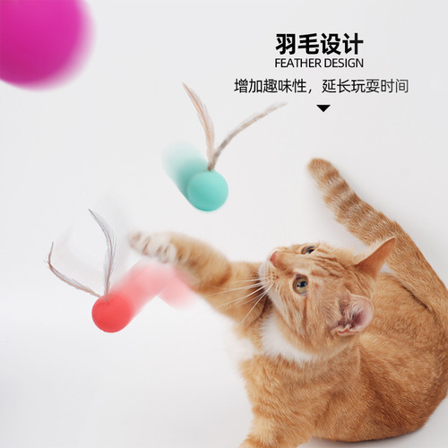 Cross-border cat and dog toy bouncy ball bouncing ball interactive amusing cat to relieve boredom colorful high elastic pet toy