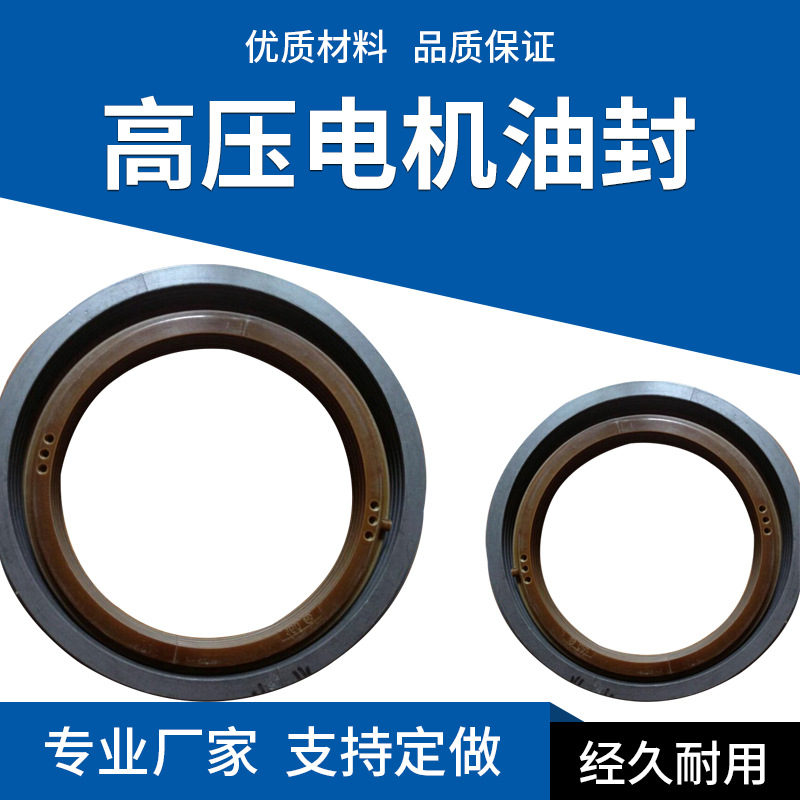 高压电机油封密封圈电机浮动密封圈可定 制各种材质河北厂家直供
