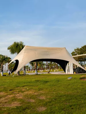 Extra-large and extra-high 3.2m high-height vinyl canopy tent for outdoor camping, one-piece, no assembly required, quick-open, rainproof