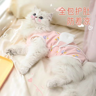 Cat Clothes Anti-lint Spring and Autumn Belly Protection Clothes Spring and Autumn Clothes Thin Pet Cat Muppet Kitten Weaning Four Leg