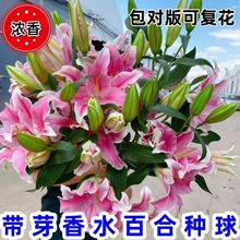 ��ˮ�ٺ϶��^�N���ļ��_�����B�׻��҃�����ͥԺ�̨�ͺ������ٺ�