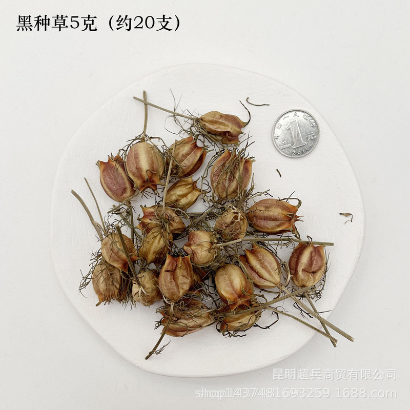 【各种果实类干花】圣诞果实类装饰品干花干果香薰蜡烛DIY橡果精|undefined
