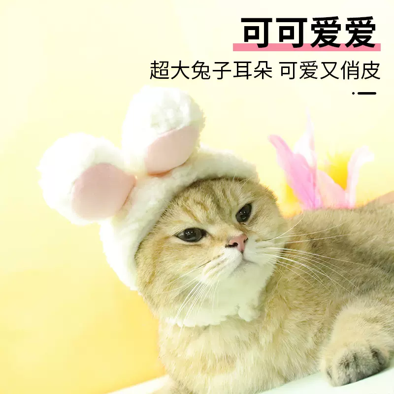 猫咪头套厂家批发兔子耳朵可爱护耳宠物头套毛绒加厚保暖宠物帽子