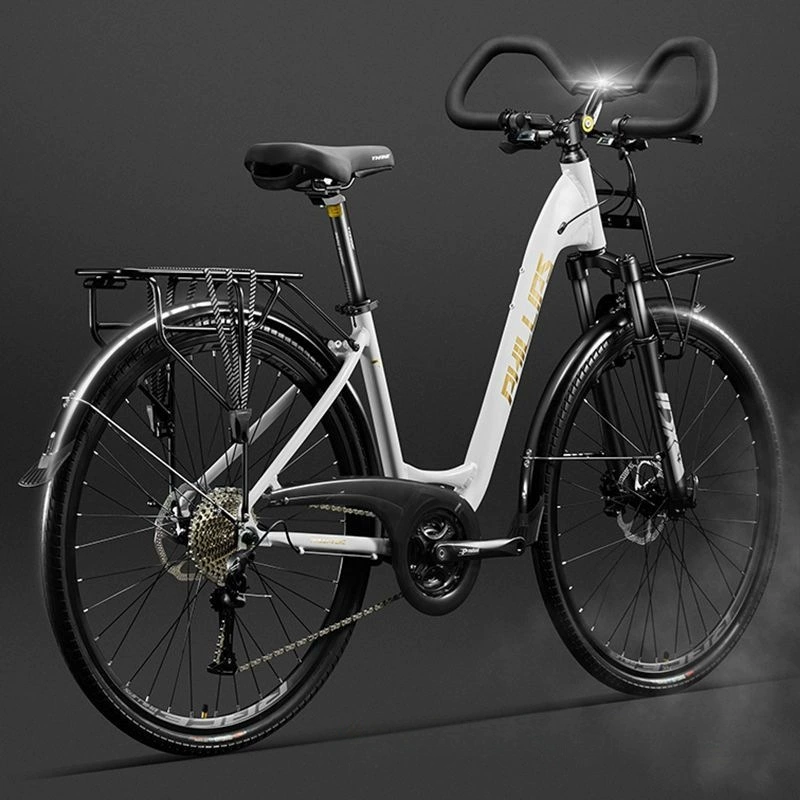 Филипп Путешествие на велосипеде для взрослых междугородние линии Сычуань-Тибет