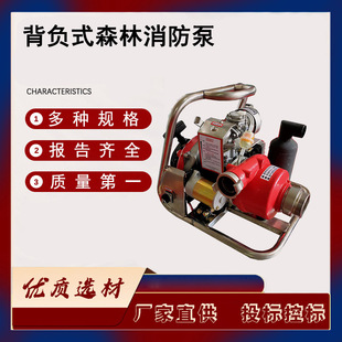 Backpack Flashlight Dual-Start Fire Pump Forest Fire Scene Rescue Mobile Pump High-Pressure Fire-Fighting Fire Pump