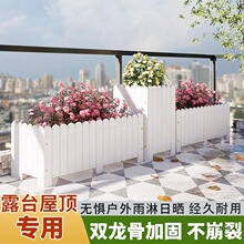 �������ľ����Nֲ��ͥԺ�̨��������M�ϻ����L���Ό�ľ�N����