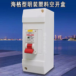 PZ30配电箱 海格型1P2回路明装塑料空开盒 AY漏保开关盒HAG电闸盒