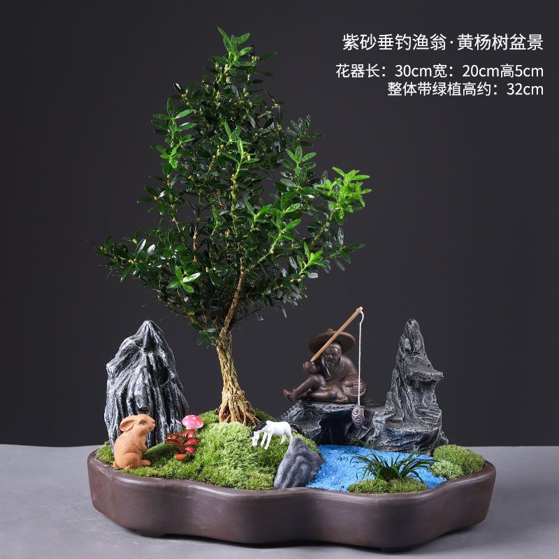 Fishing fisherman boxwood bonsai