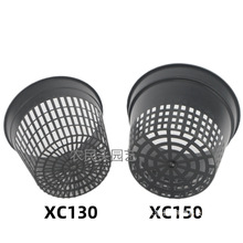 育苗鹿角网盆篮定植透气水培兰花盆蝴蝶兰生根盆多孔XC塑料蕨控根