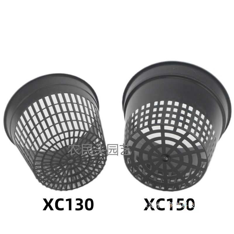 育苗鹿角网盆篮定植透气水培兰花盆蝴蝶兰生根盆多孔XC塑料蕨控根
