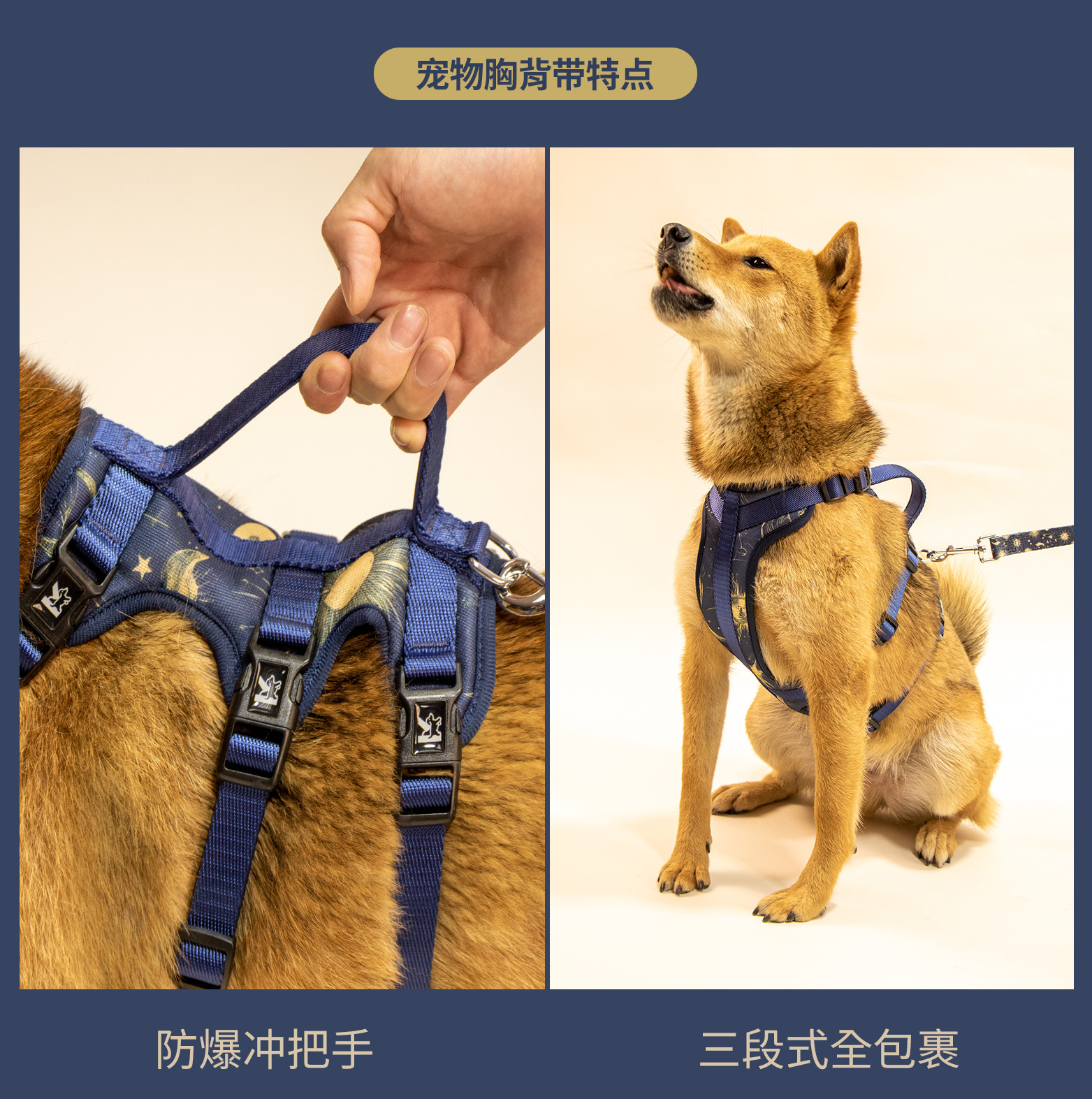 C端-塔罗详情页-中文_05.jpg