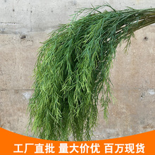 С�t���������Gֲ�J���� ��횲���ѿ��Y���þƵ��ә����쾰