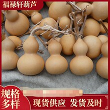 �S��ֱ�N��Ȼ������J ������J �������J ��ˇƷ���J