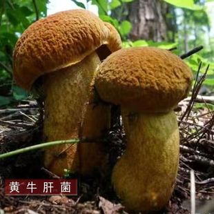 ���[ţ�ξ�Ҋ����Ұ��ţ�ξ���؛���[�ҟ���������خaҰ����