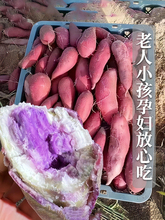 新鲜红薯冰淇淋番薯一点红紫心红薯地瓜广东沙地现挖花心紫薯