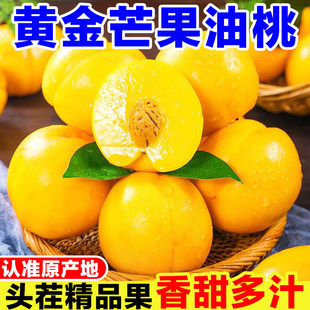 �|���S��â�������r���Ӯ����ЋDˮ���Fժ�S�ҽ�����ââ���S����