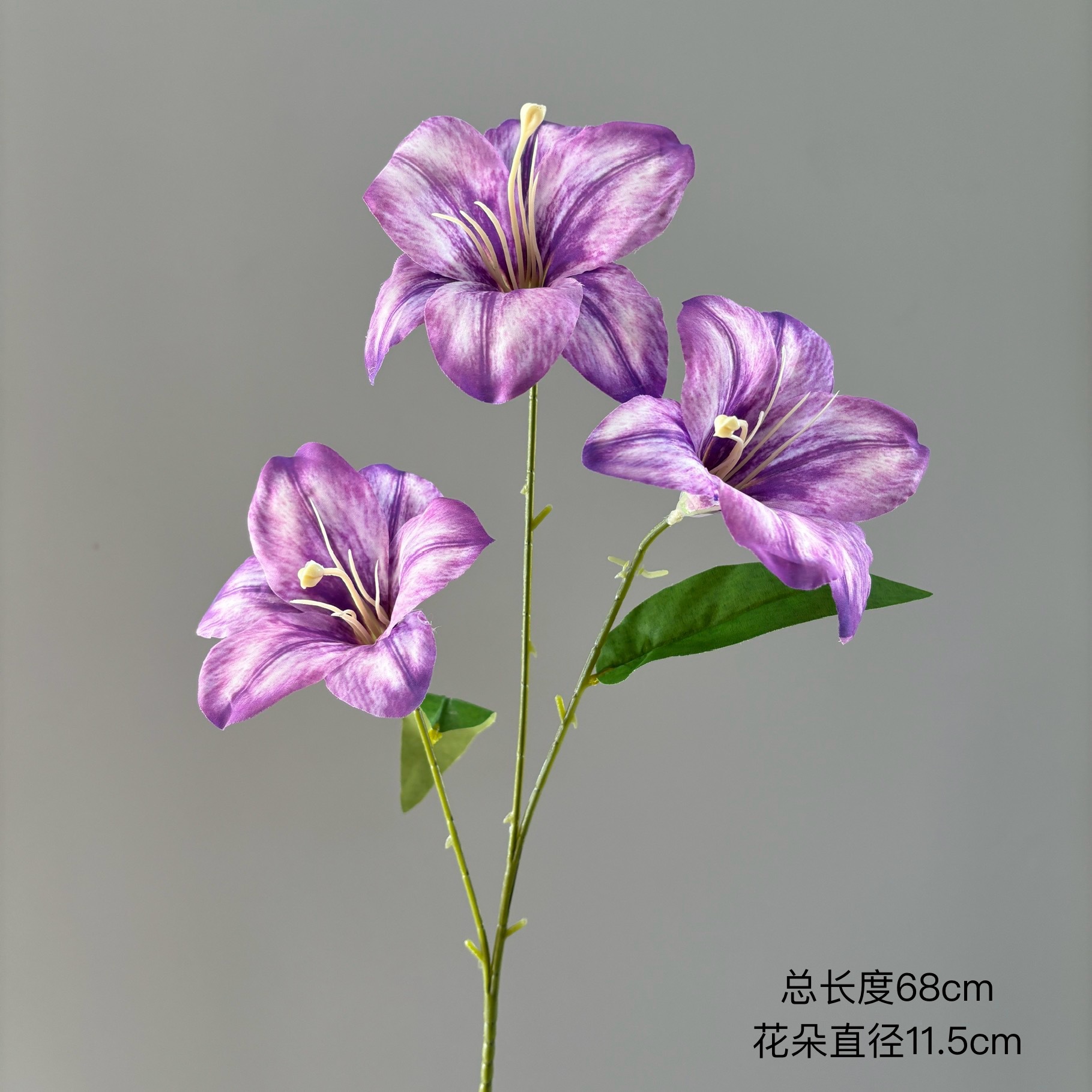 보라색