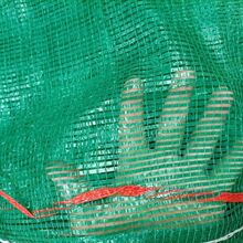 �߲ˌ��� �Gɫ�W�۾������Ӻ���܌������ÏS��ֱ�N�����}��ˮ��