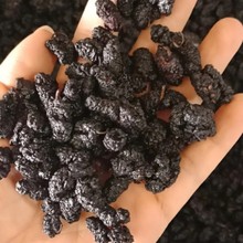 ɣ������ҩ��������ҩ��ɣ��ӳ���������