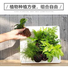 一件代发欧林泽懒人花盆创意相框北欧风格厂家现货嵌入式壁挂花盆