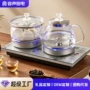 容声自动电热泡茶煮茶器
