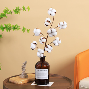 ľ�޻����޻��ɻ�֦���滨10�^ 6�^�컨��Ȼ�Ҿә�����Ʒ�羳���