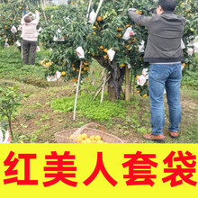 ���ӌ��ô������״��ҰҸ̼t���ː��·���������ә��ұ��o���״�