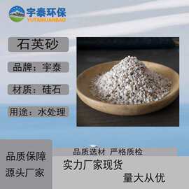 污水处理用白色石英砂草坪填充滤池泳池垫层水洗石英砂无尘无杂质