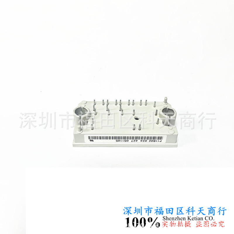 全新现货 P11B02 P11B04 P11B05 模块 MODULE 需要了解详情可询