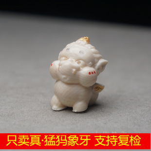 ��Ȼ�ͪw������̼� С���� �������� С�t�� �ְѼ� DIY�������