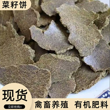 批发菜籽饼钓鱼打窝园林绿化肥蔬菜种植有机肥料水产养殖营养饲料