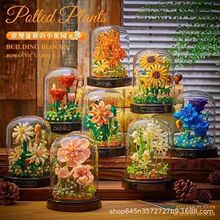 ���ݘ��߷eľ���տ�������ƴ�bõ���r���[����Ϧ���Y���ʯС�w��