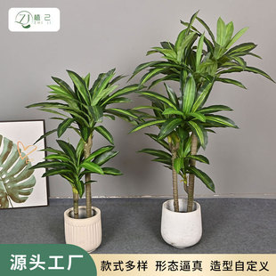 ��������F ���W�L��ֲ���҃��b�������Կ͏d�辰�쾰�[������