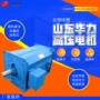 华力山东异步高压电动机
