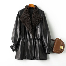 2026�¿����Ƥ��q��Ƥ��Ů�����@����ë�I���Z�q�̿�Ƥ������