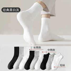 运动休闲棉袜;船袜、隐形袜;其他袜子