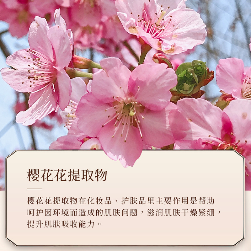 韩芬桜アロマボディクリーム保湿スキンケア潤い肌細やかな肌乾燥防止ボディミルク卸売り|undefined