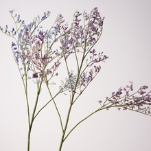 经典 仿真情人草绿鼠尾草绿植花束干花配叶插花手捧配材花艺百搭